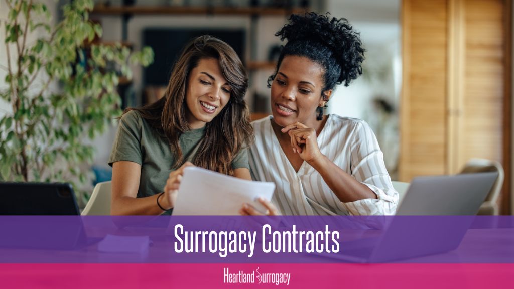 surrogacy contract being read and signed by intended mother and fertility attorney